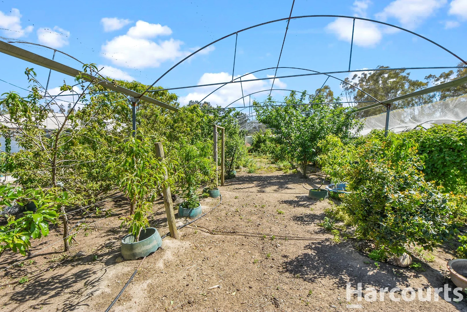 Additional image 17 of 84 Wartook Rise, Wartook VIC 3401