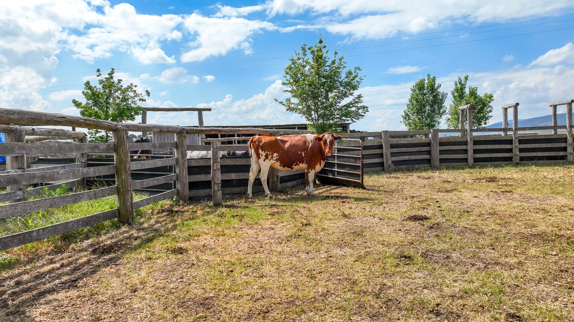 Additional image 31 of 2022 New England Highway, Scone NSW 2337