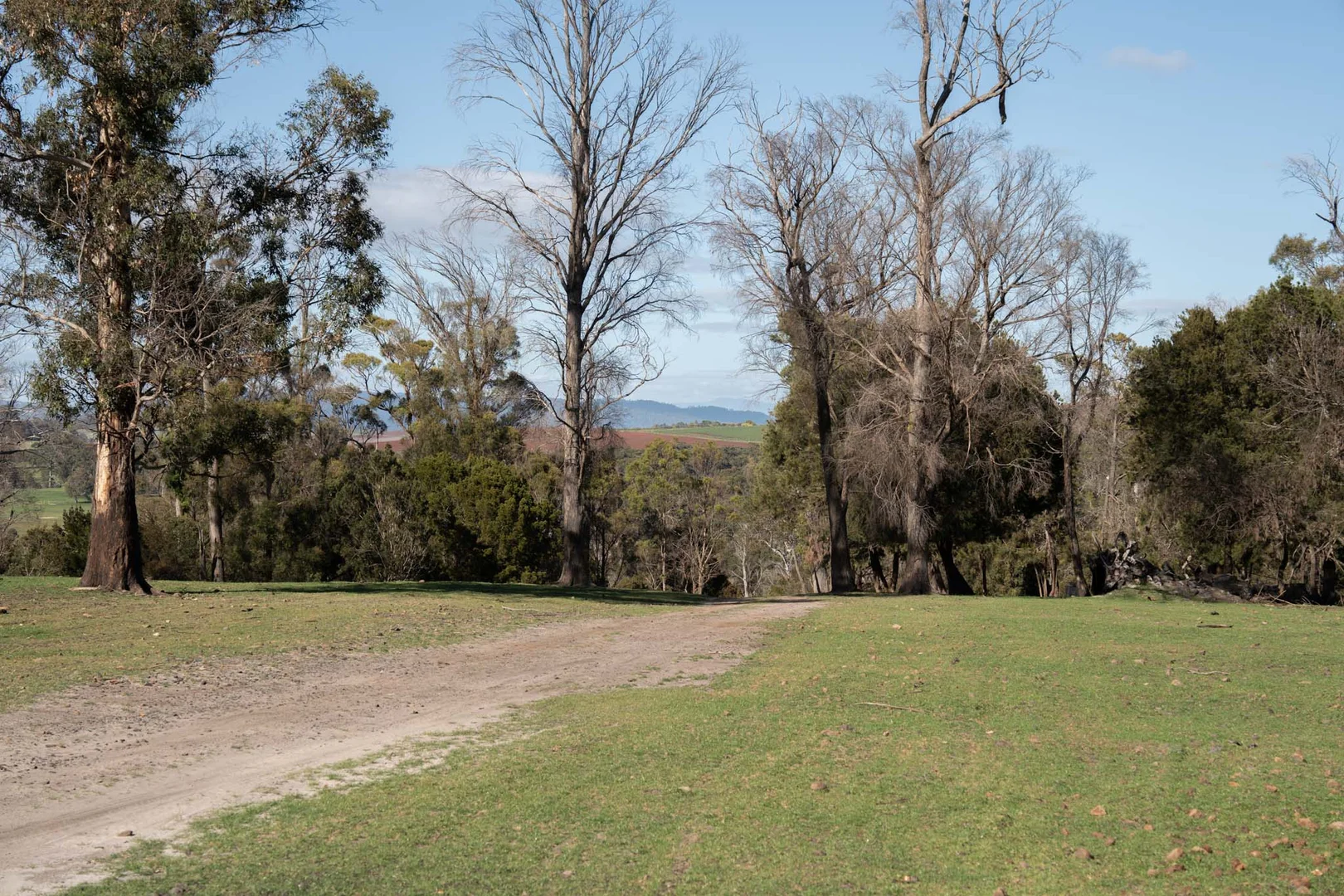 Additional image 10 of 51 Annies Lane, Northdown TAS 7307