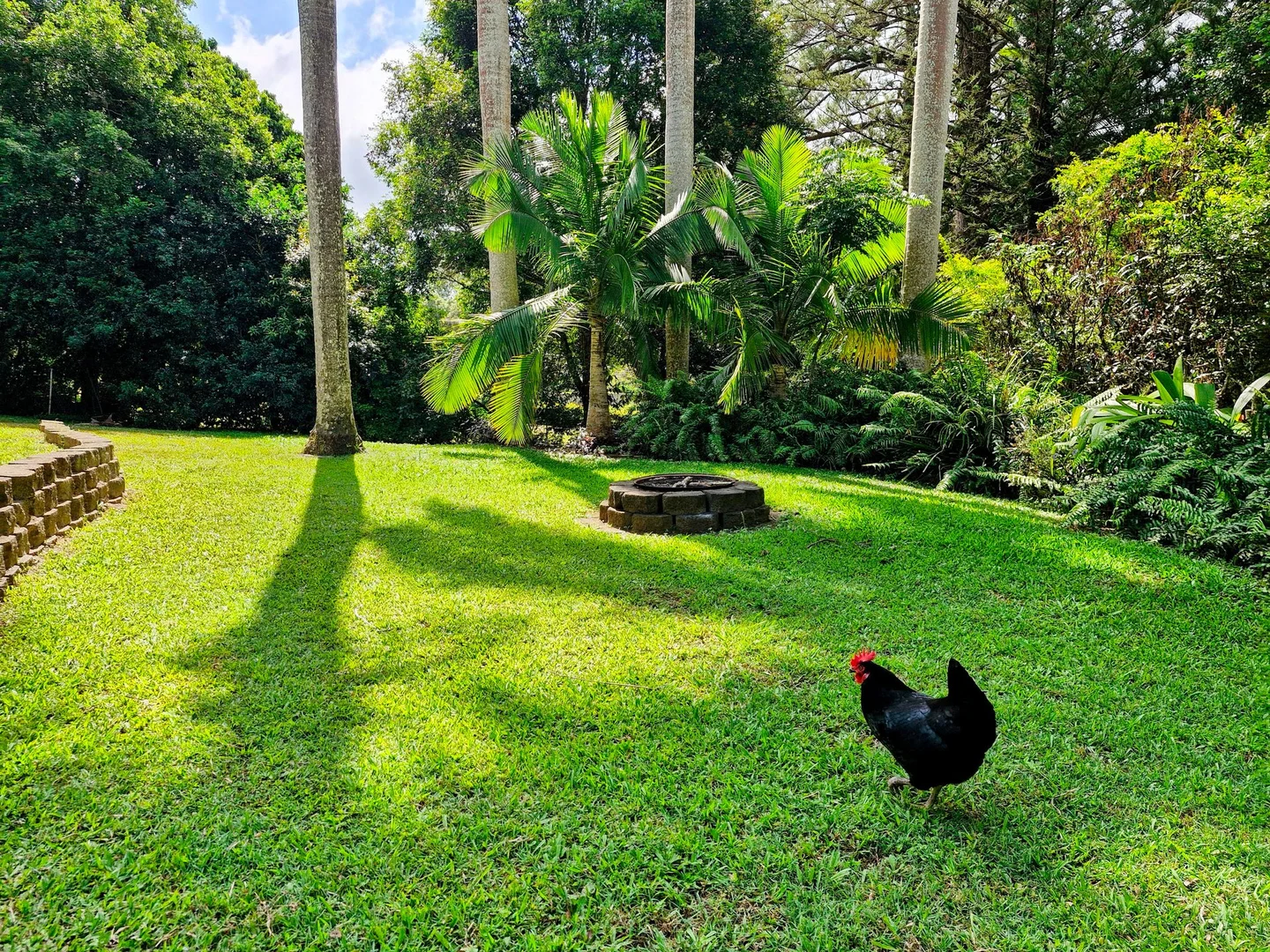 Additional image 7 of 279 DIDDILLIBAH ROAD, Diddillibah QLD 4559