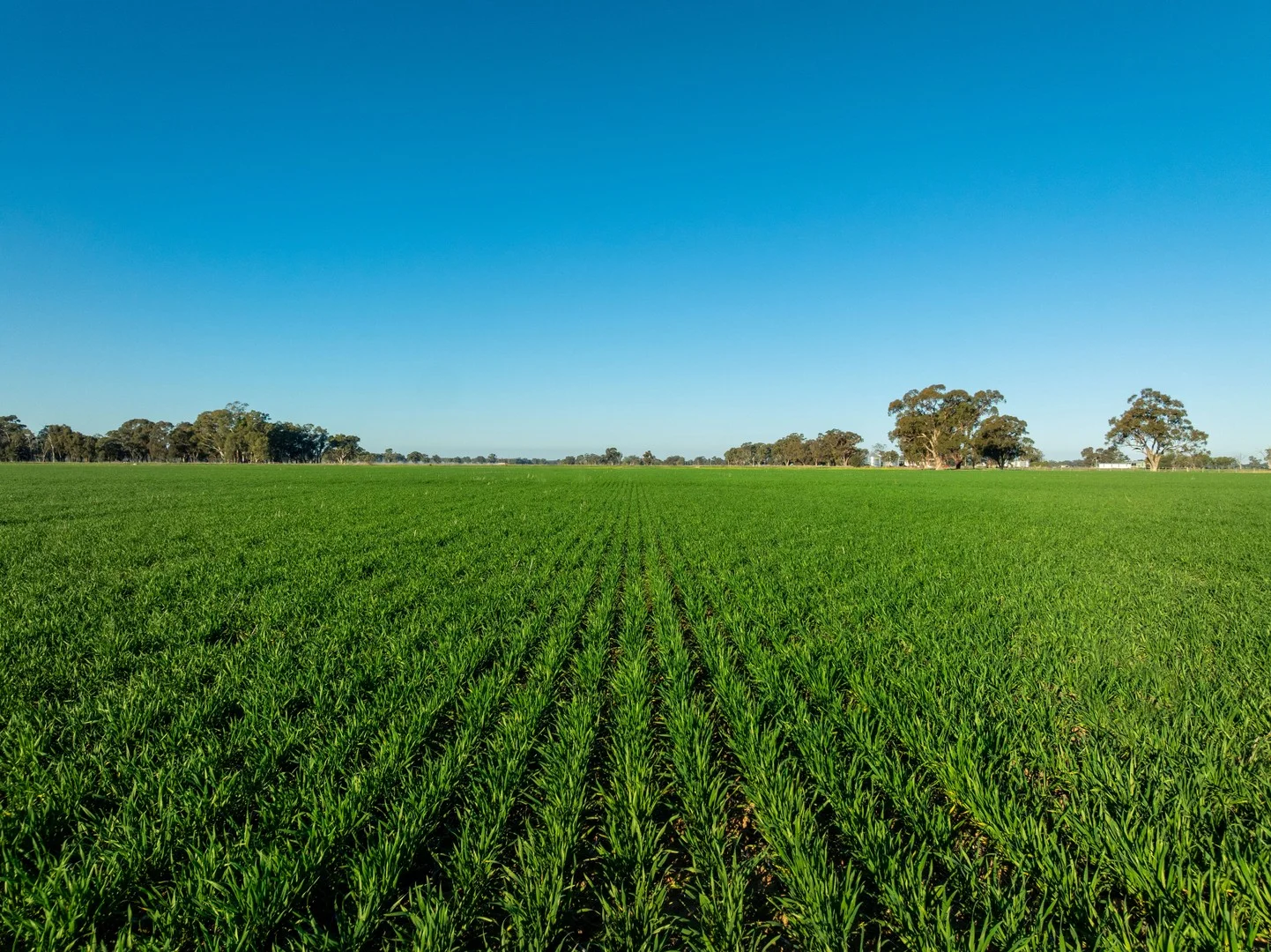 479 Stokes Road, Strathmerton VIC 3641