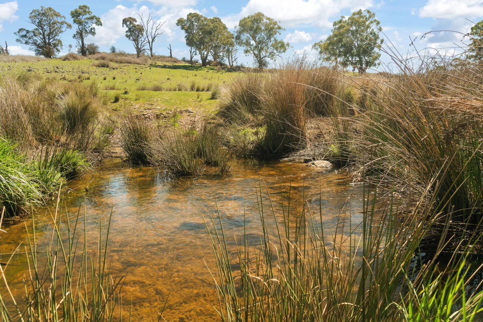 Additional image 10 of Millthorpe NSW 2798