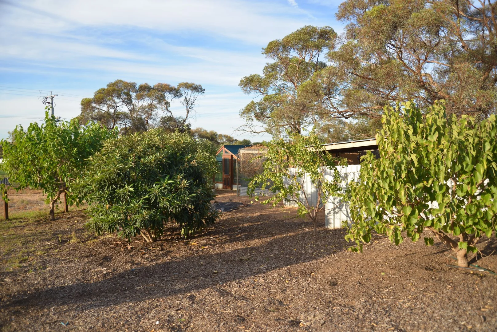 Additional image 26 of 49-53 Monash Avenue, Underbool VIC 3509