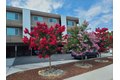 809 Malone Rd, San Jose, CA, 95125