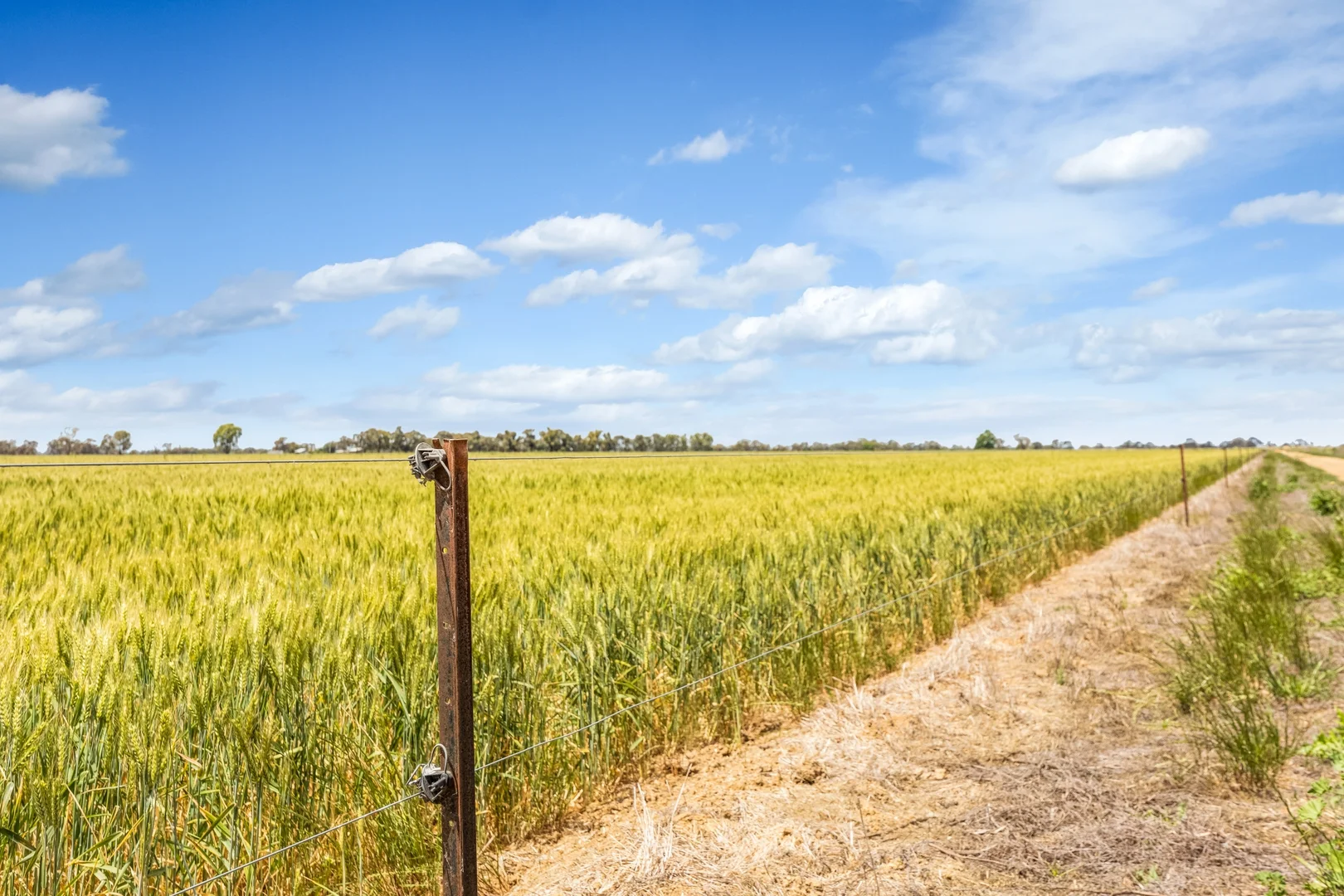 Additional image 11 of 7172 Murray Valley Highway, Cullen VIC 3568