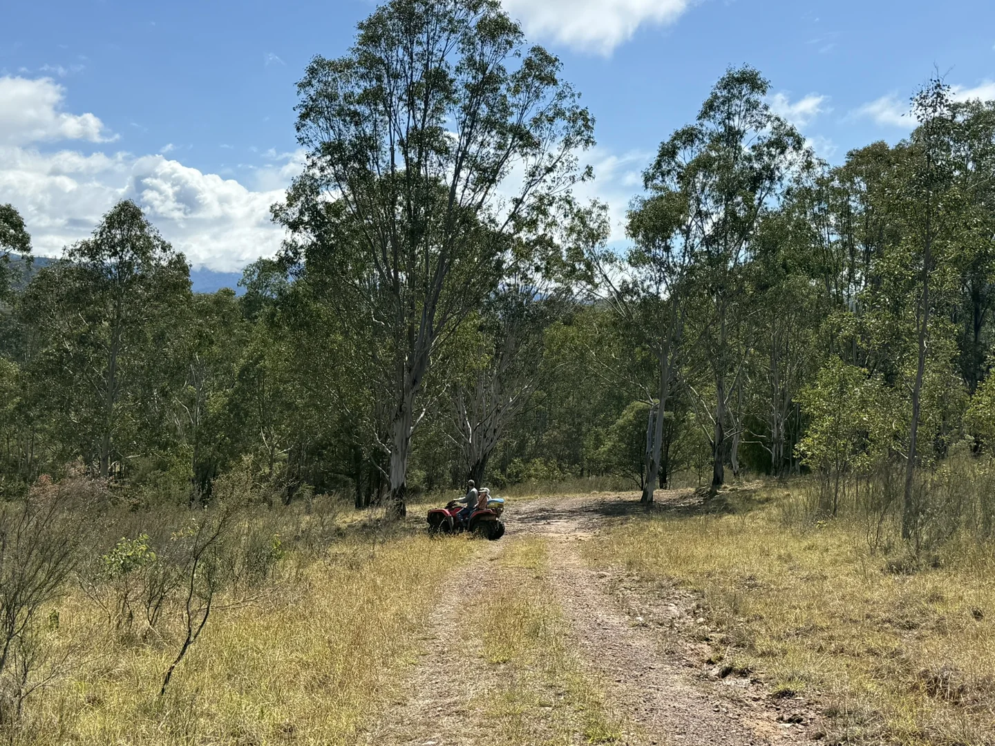 Additional image 19 of 3/1076 Neringla Road, Braidwood NSW 2622