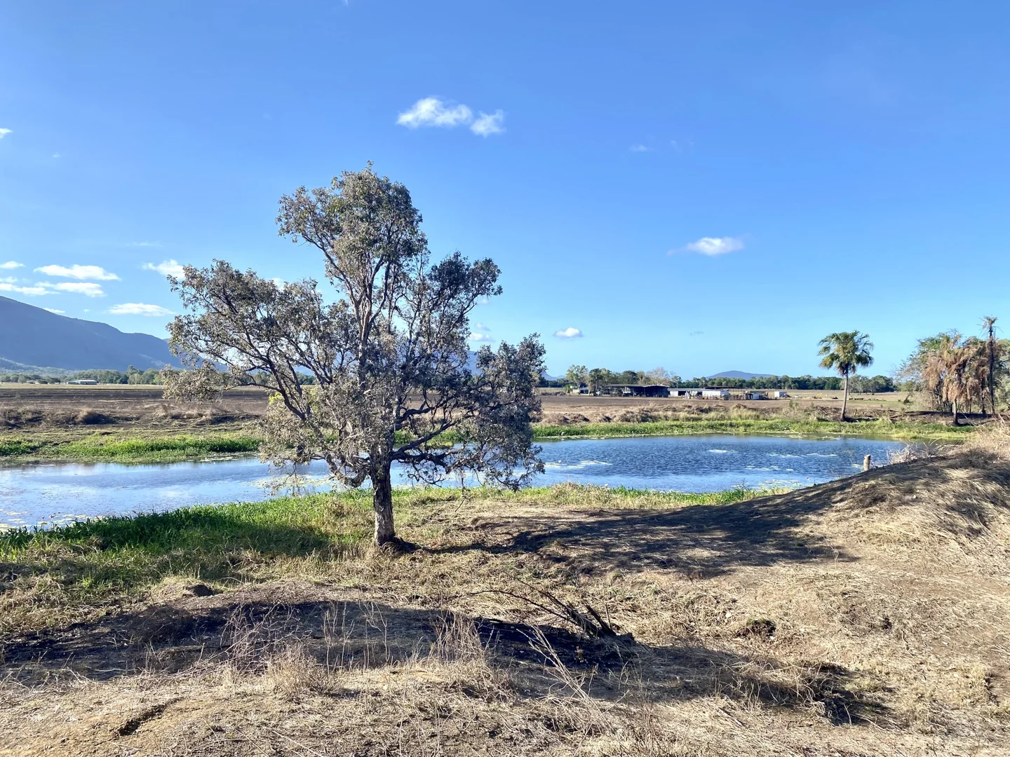 Additional image 32 of 312 Smith Road, Shirbourne QLD 4809