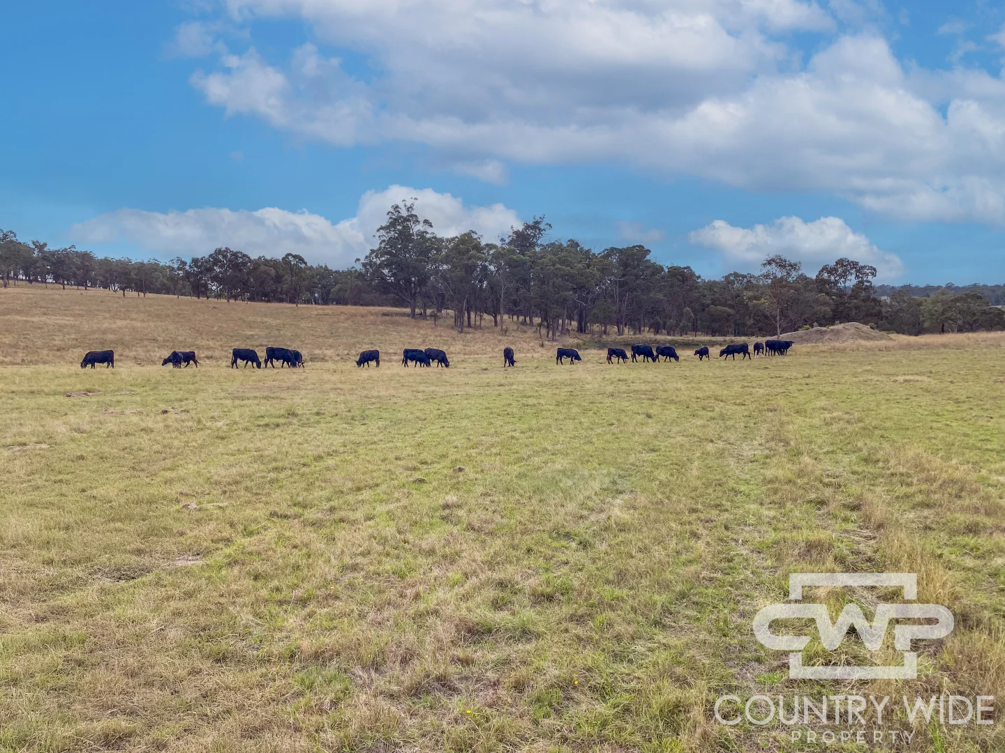 Additional image 27 of 954 Bullock Mountain Road, Glen Innes NSW 2370