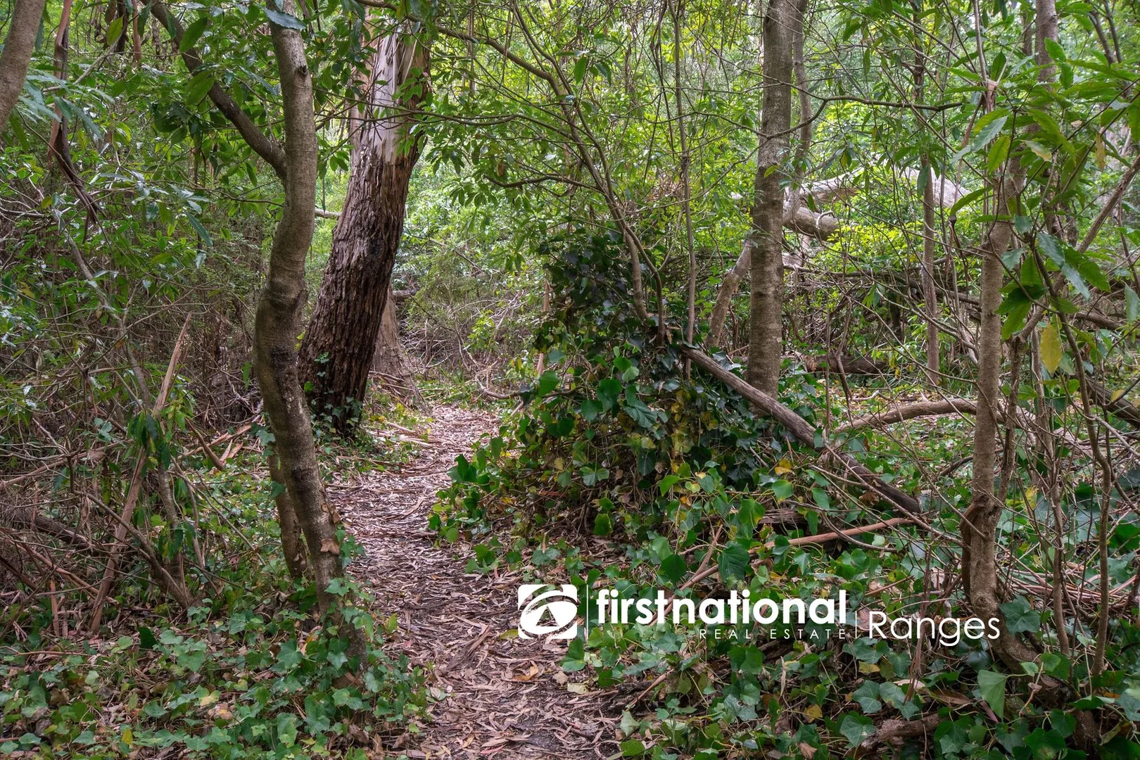 Additional image 9 of 103 Ferndale Road, Upwey VIC 3158