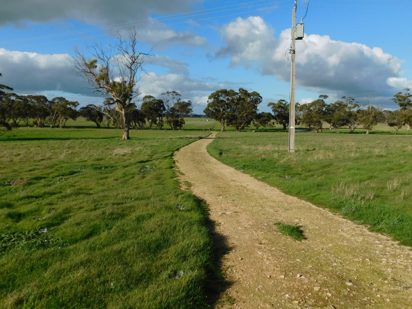 Additional image 11 of 1878 Cannawigara Road, Bordertown SA 5268