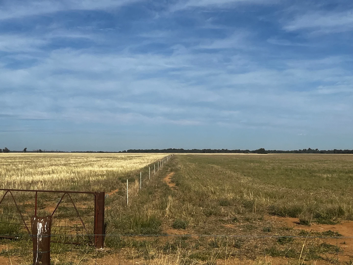 Additional image 3 of _ Corner of Dingee Road and Trounson Road, Diggora VIC 3561