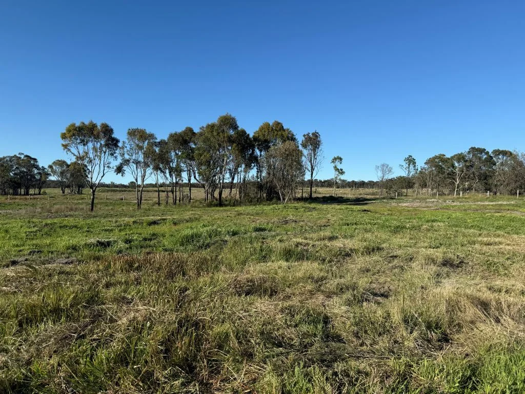 Additional image 6 of Lot 1/1065 Amiens Rd, Amiens QLD 4380