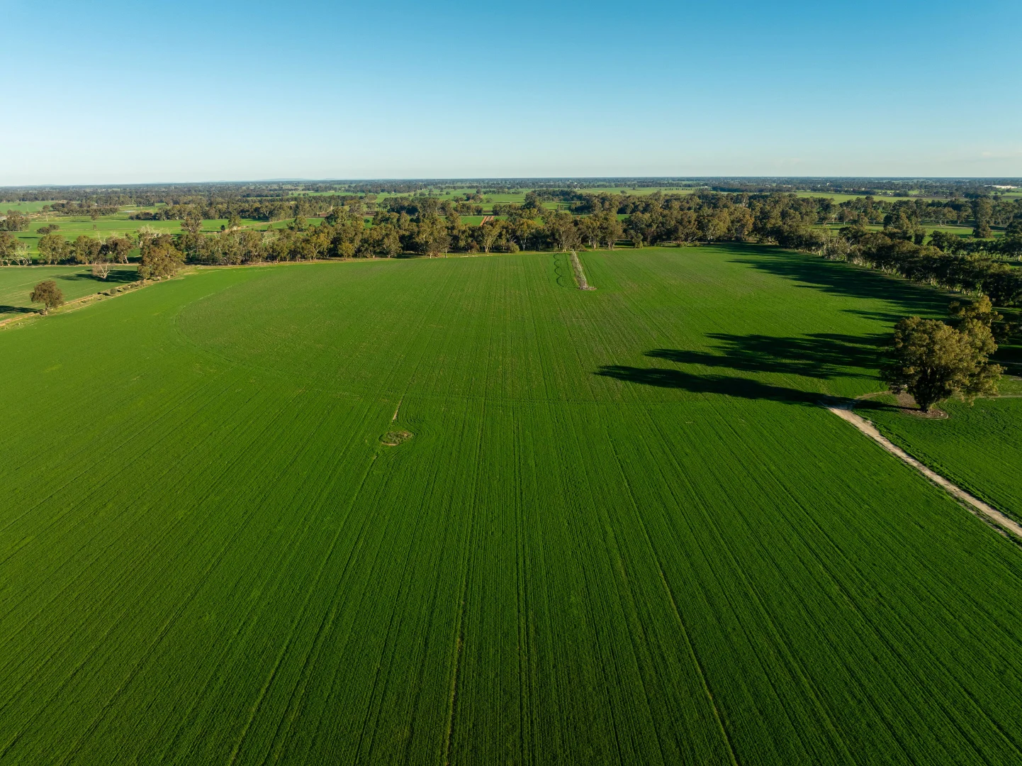 Additional image 14 of 479 Stokes Road, Strathmerton VIC 3641