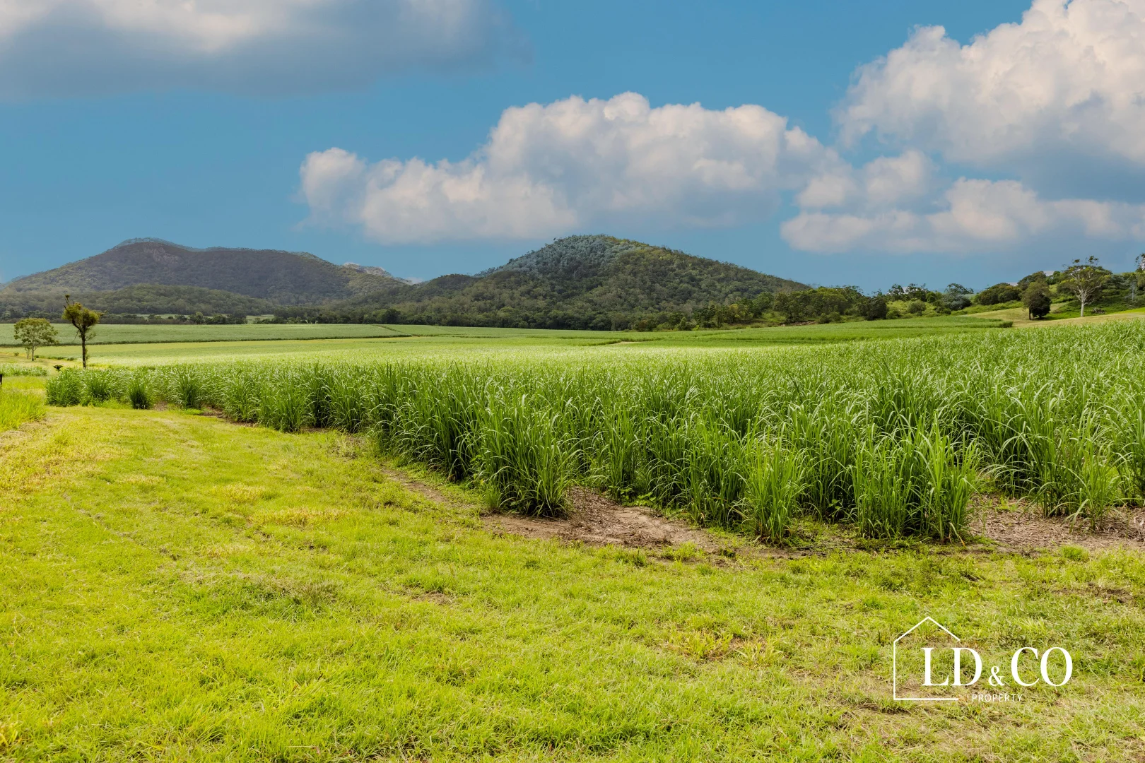 Additional image 8 of 254 Mapalo Road, The Leap QLD 4740