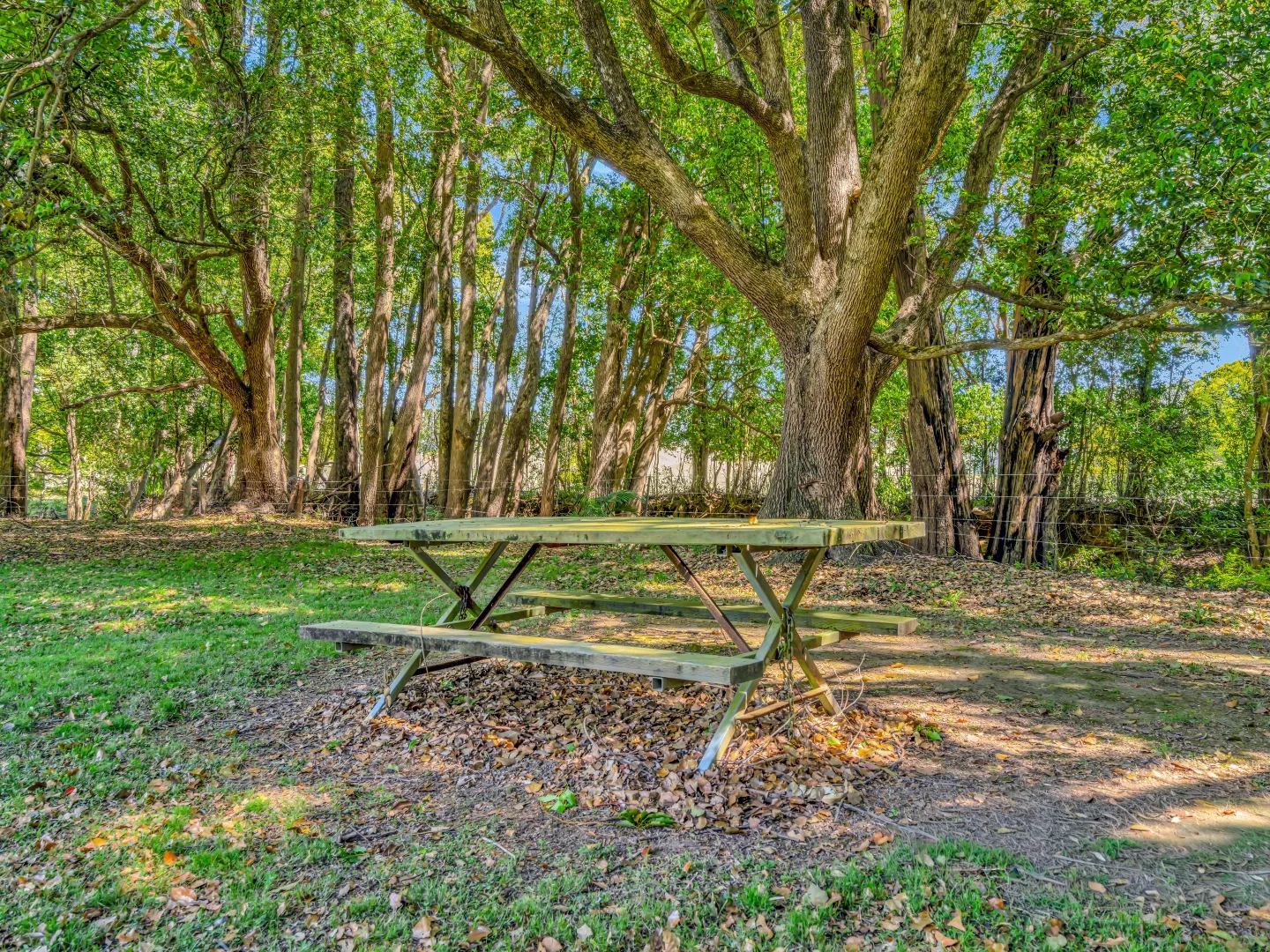 Additional image 14 of 923 Orara Way, Nana Glen NSW 2450