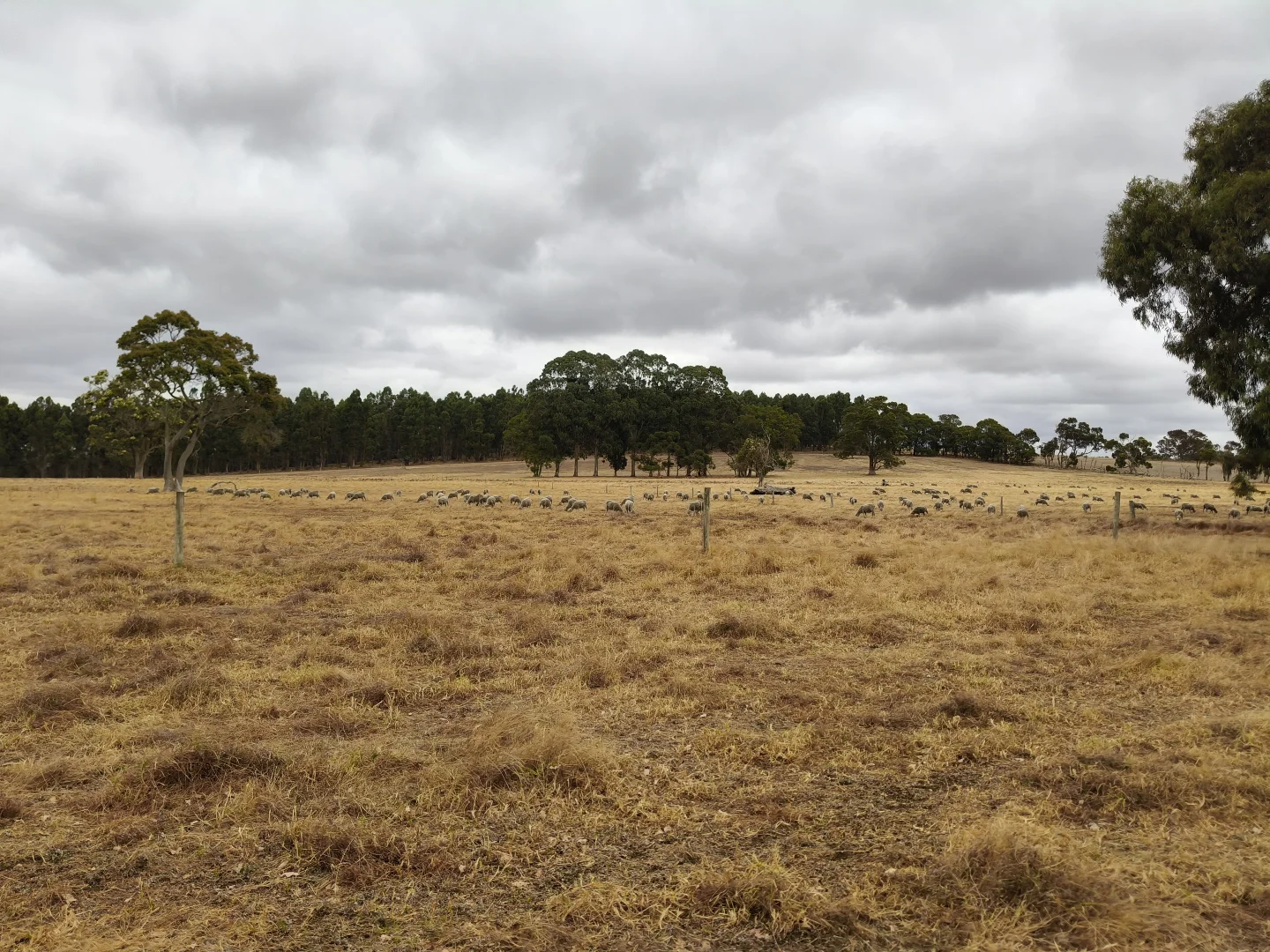 Additional image 5 of Lot 9000 Warburton Road, Mount Barker WA 6324