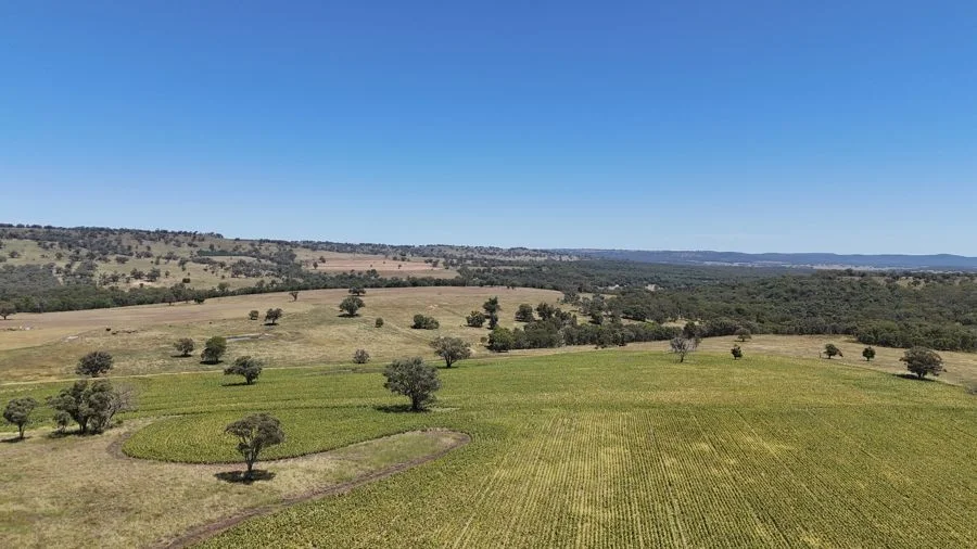 Additional image 4 of 190 BROWN SPRINGS ROAD, Coolah NSW 2843