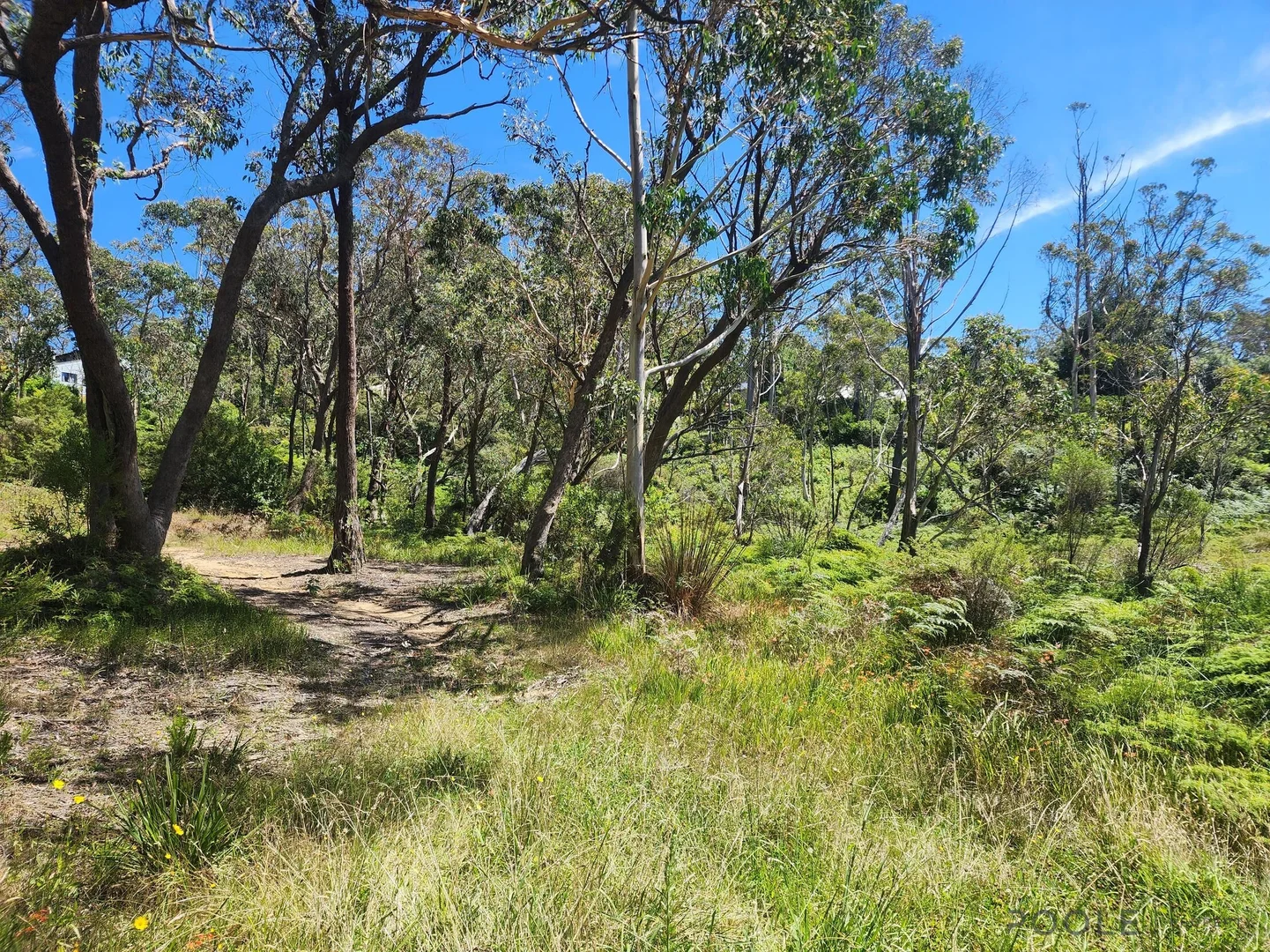 Additional image 5 of Lot 24 Lomandra Place, Katoomba NSW 2780