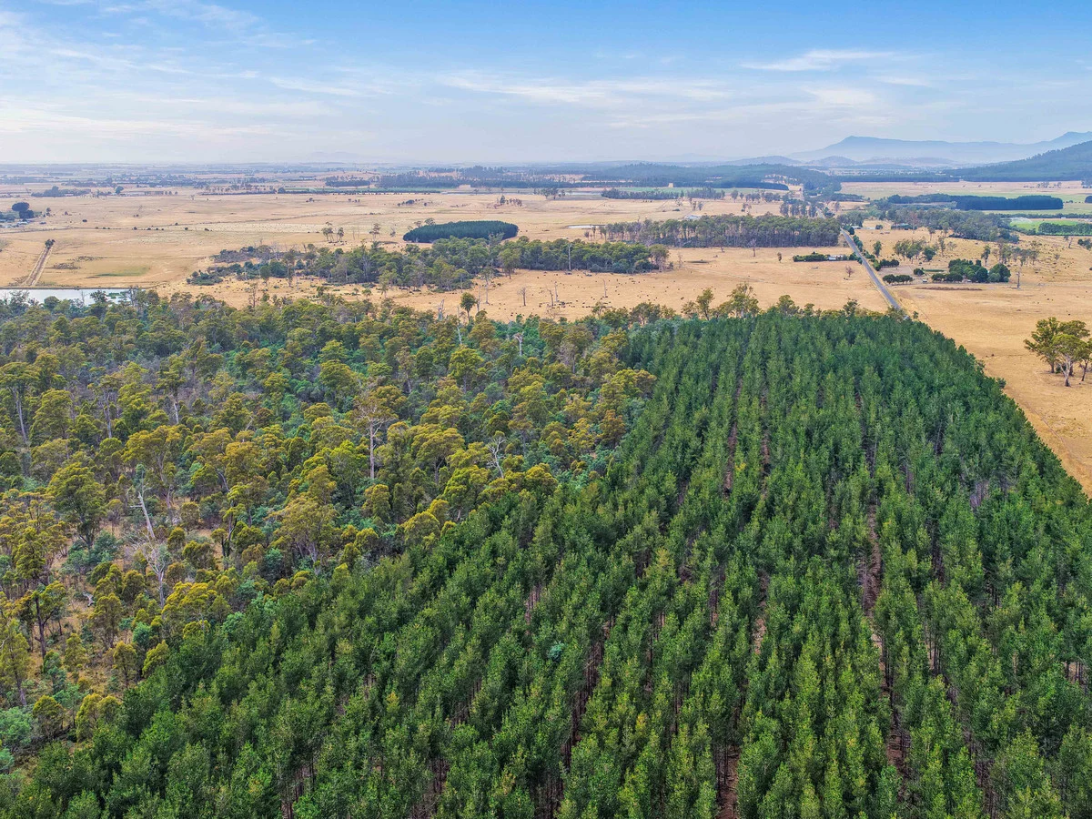 Additional image 16 of 179 Cluan Road, Cluan TAS 7303