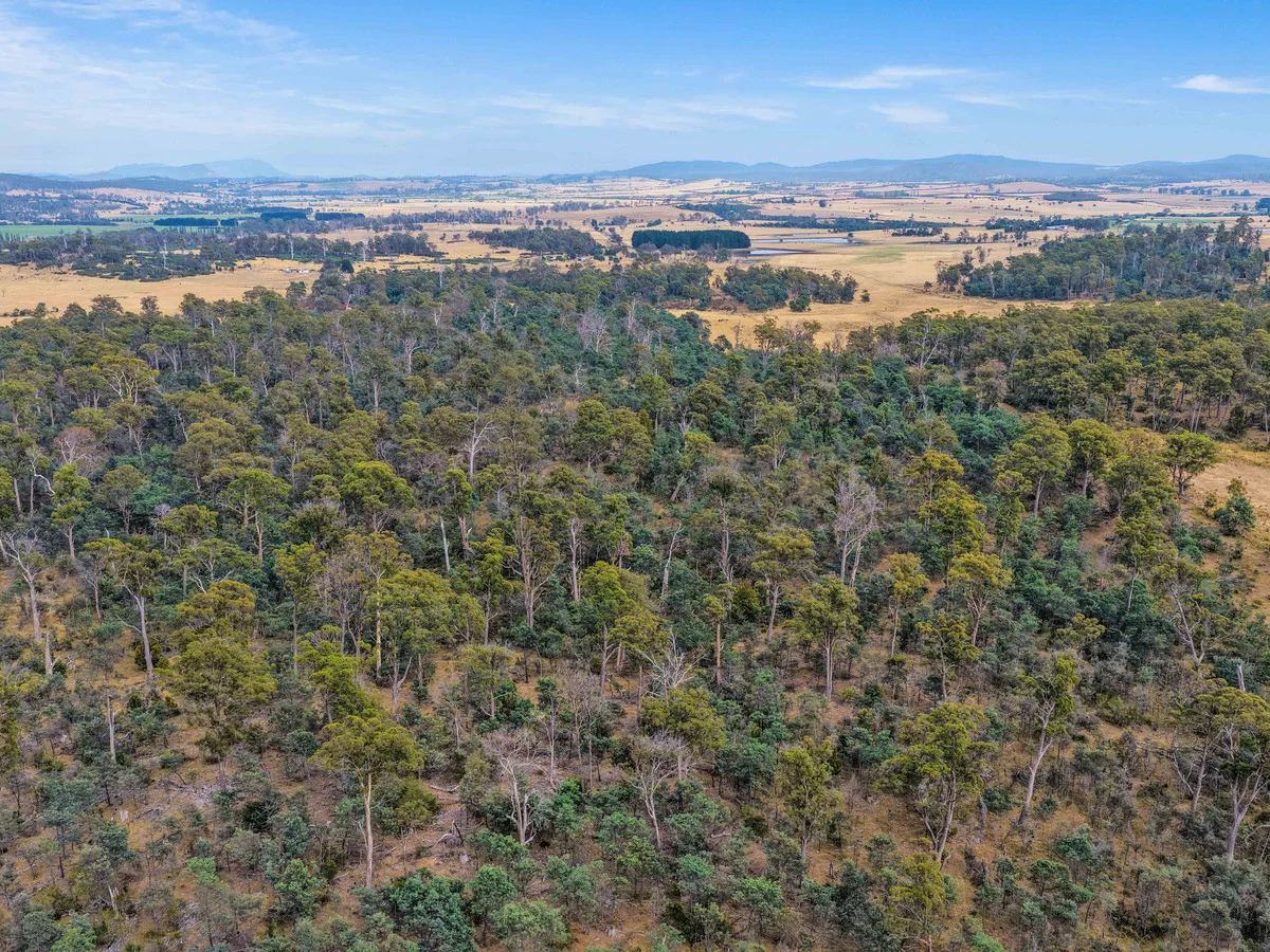 Additional image 20 of 179 Cluan Road, Cluan TAS 7303