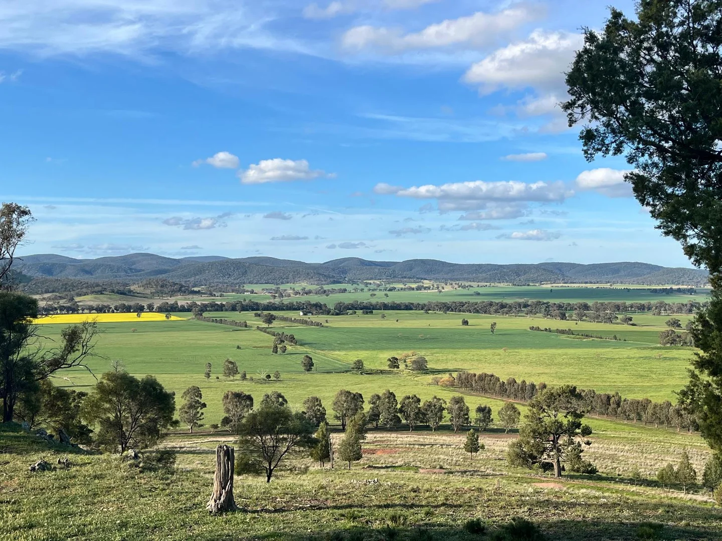 Additional image 16 of 92 Campbells Lane, Canowindra NSW 2804