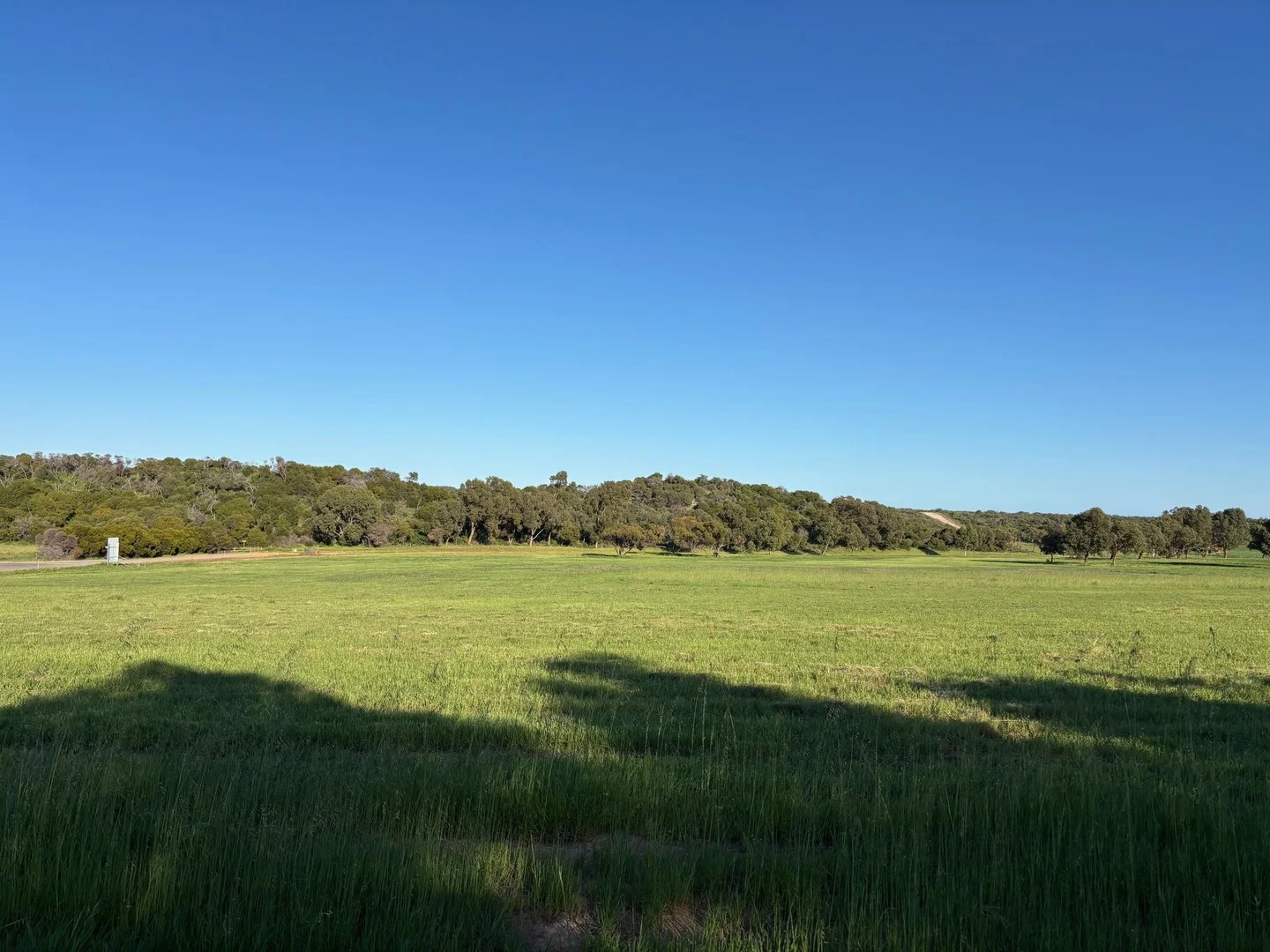 305 Peregrine Ridge, Bonniefield WA 6525