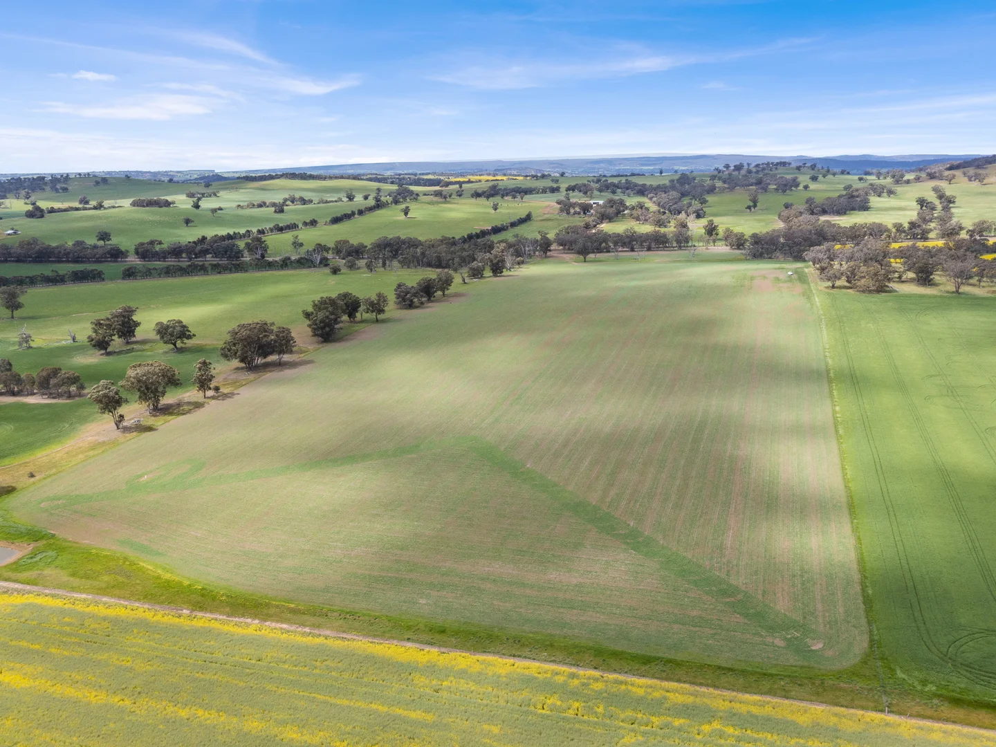 Additional image 41 of 2056 Benalla-Yarrawona Road, Bungeet West VIC 3726