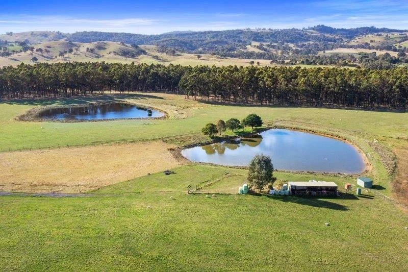 Additional image 40 of 354 Shaws Road, Merton VIC 3715