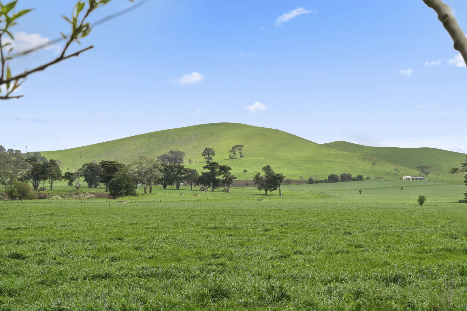 Additional image 25 of 331 Glenormiston Road, Glenormiston South VIC 3265