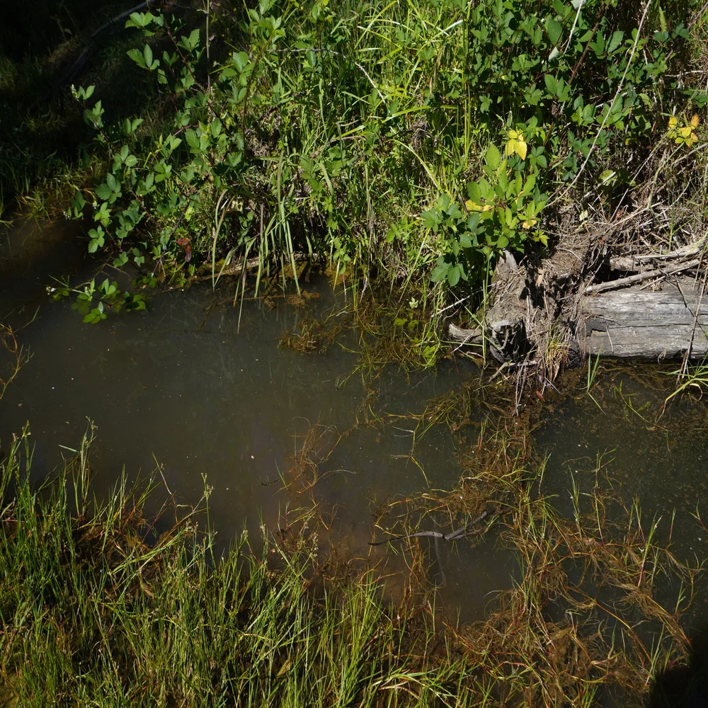 Additional image 7 of 3/1076 Neringla Road, Braidwood NSW 2622