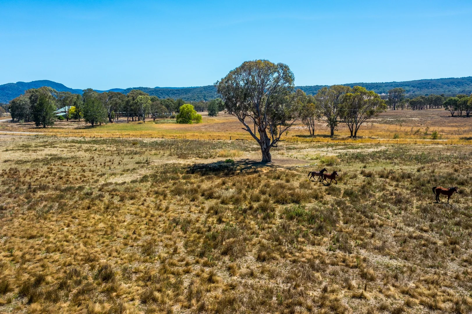 271 Pyangle Road, Rylstone NSW 2849