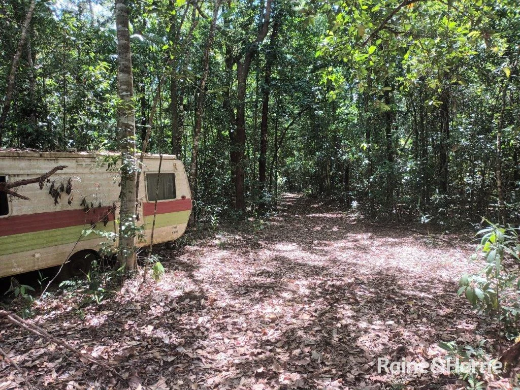 Additional image 17 of Lot 249 White Beech Road, Cow Bay, Daintree QLD 4873