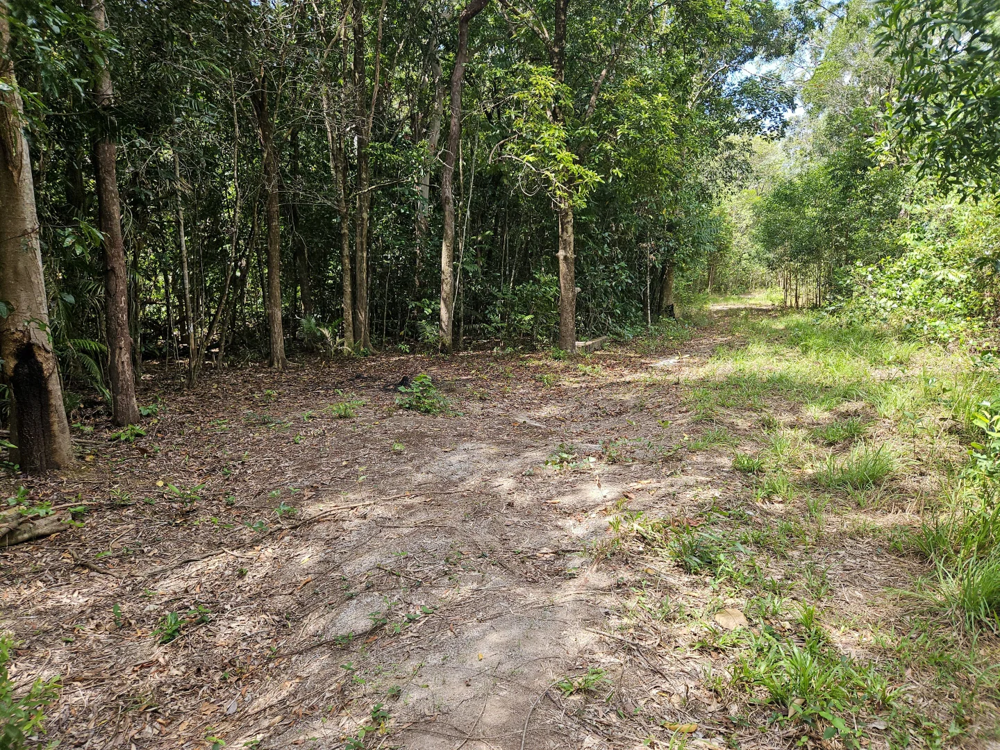 Additional image 8 of 2401 Rossville Bloomfield Road, Bloomfield QLD 4895