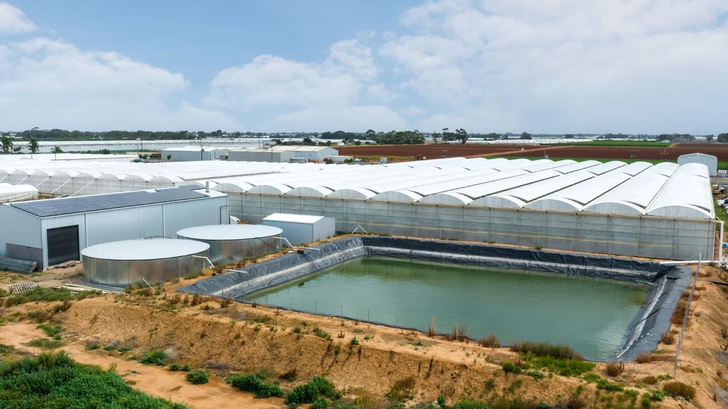 Additional image 16 of 136 Penfield Road, Virginia SA 5120