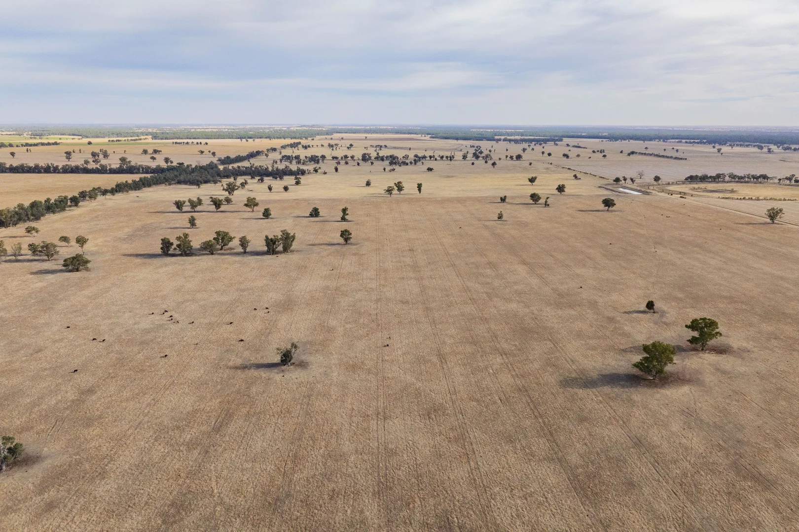 Additional image 11 of 1152 Central Island Road, Galore NSW 2650