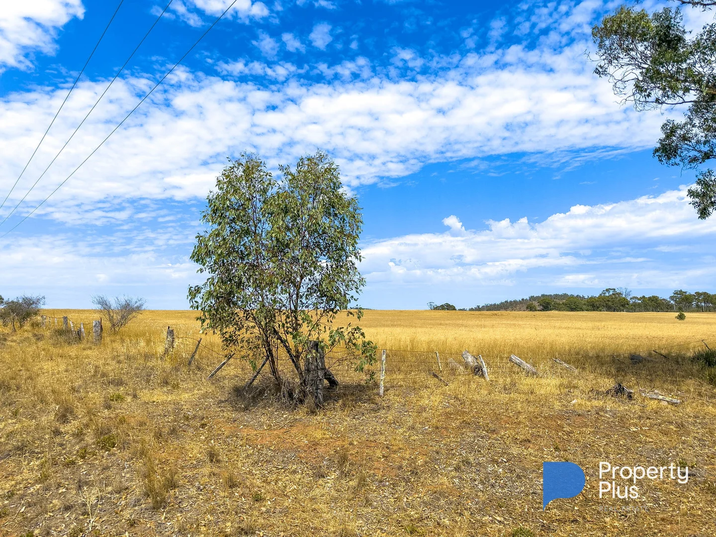 Additional image 6 of CA 12 Boort-Wedderburn Road, Wedderburn VIC 3518