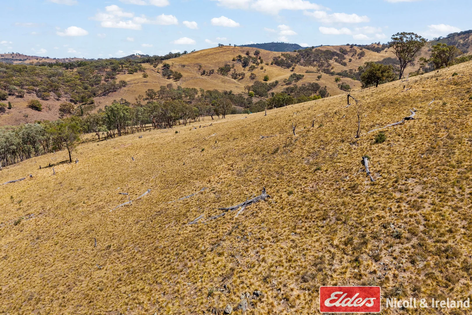 Additional image 26 of 3548 The Bridle Track, Bruinbun NSW 2795