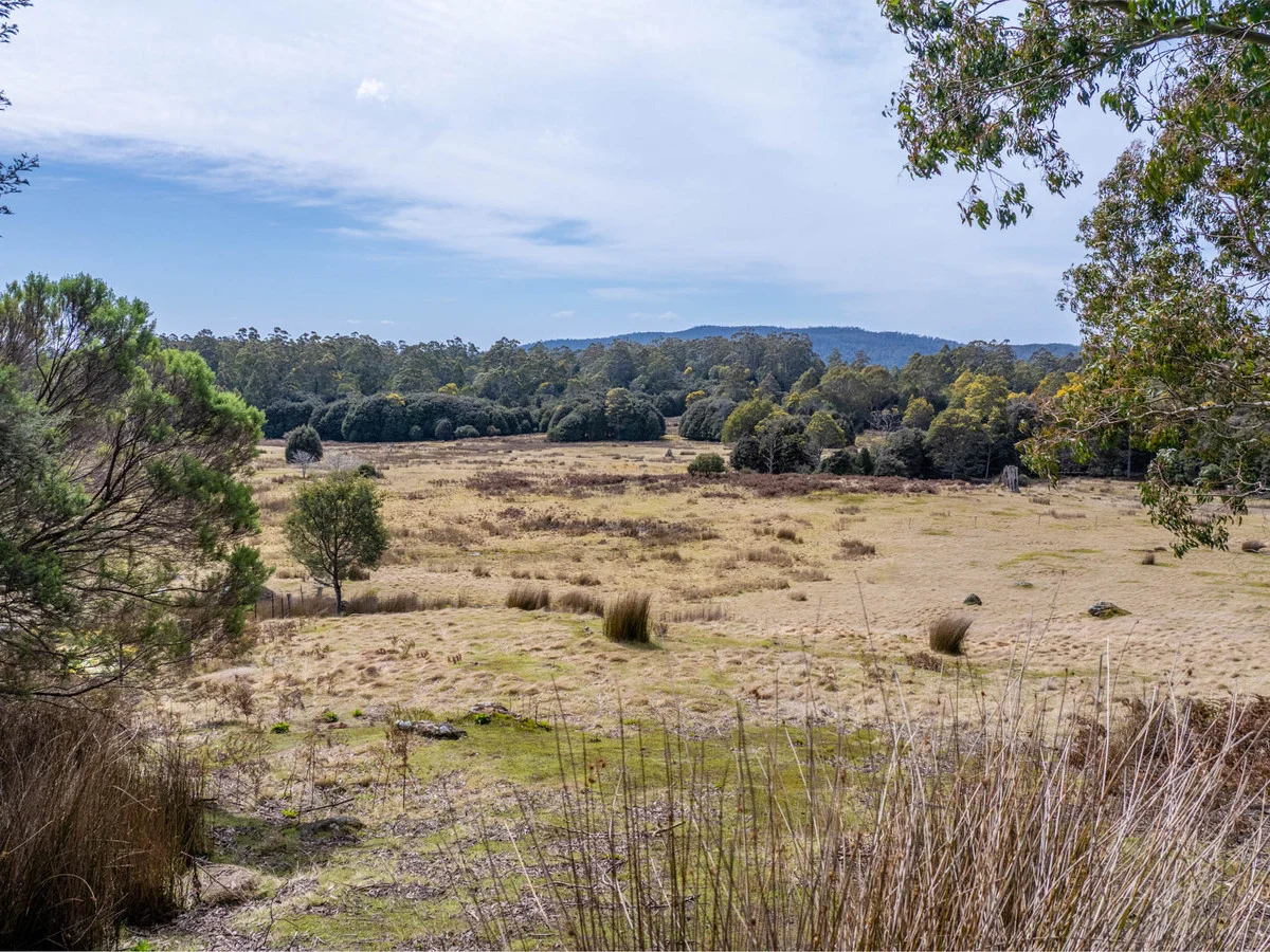 Additional image 6 of 12627 Highland Lakes Road, Golden Valley TAS 7304