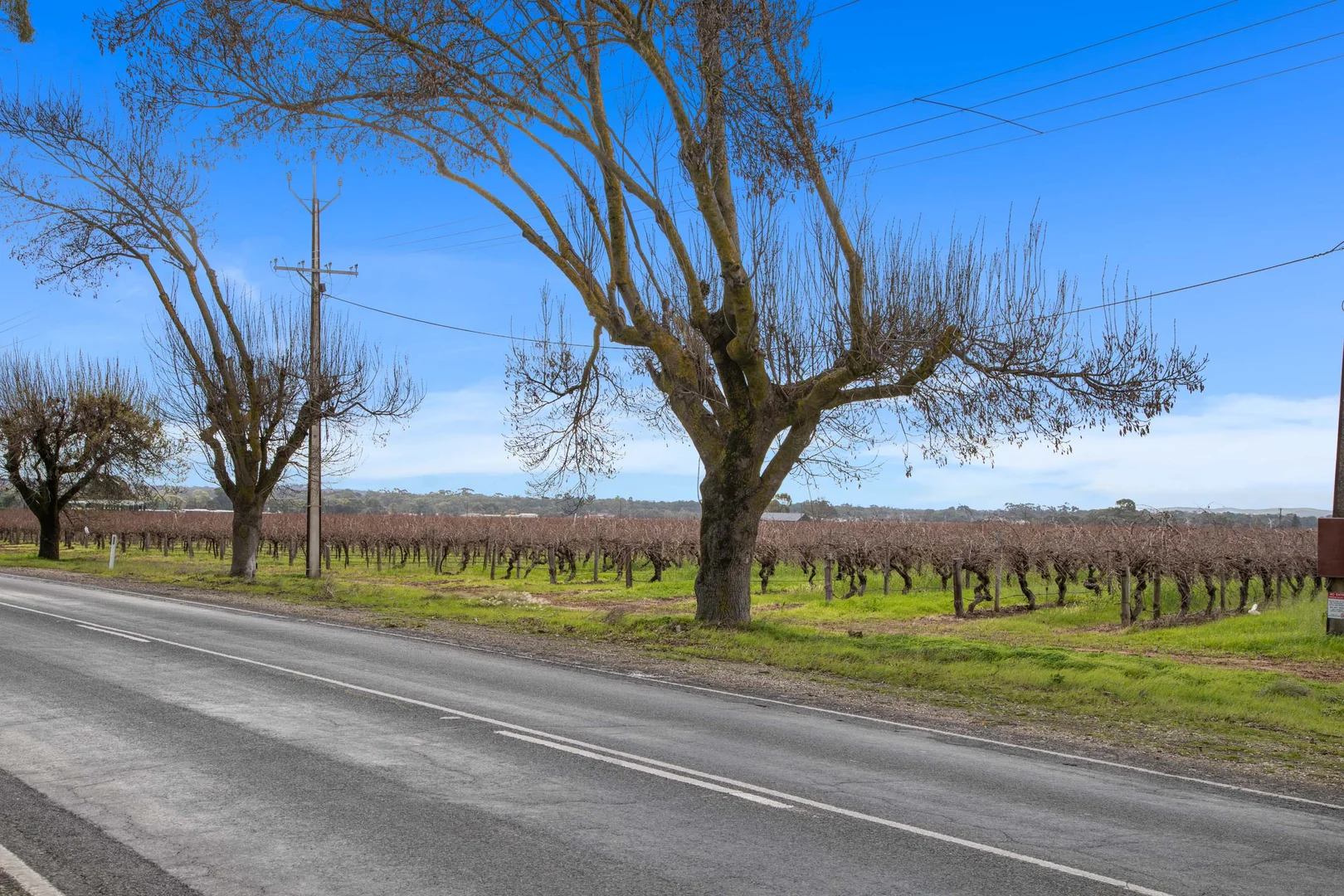 Additional image 3 of Lot 351 Angaston Road, Nuriootpa SA 5355