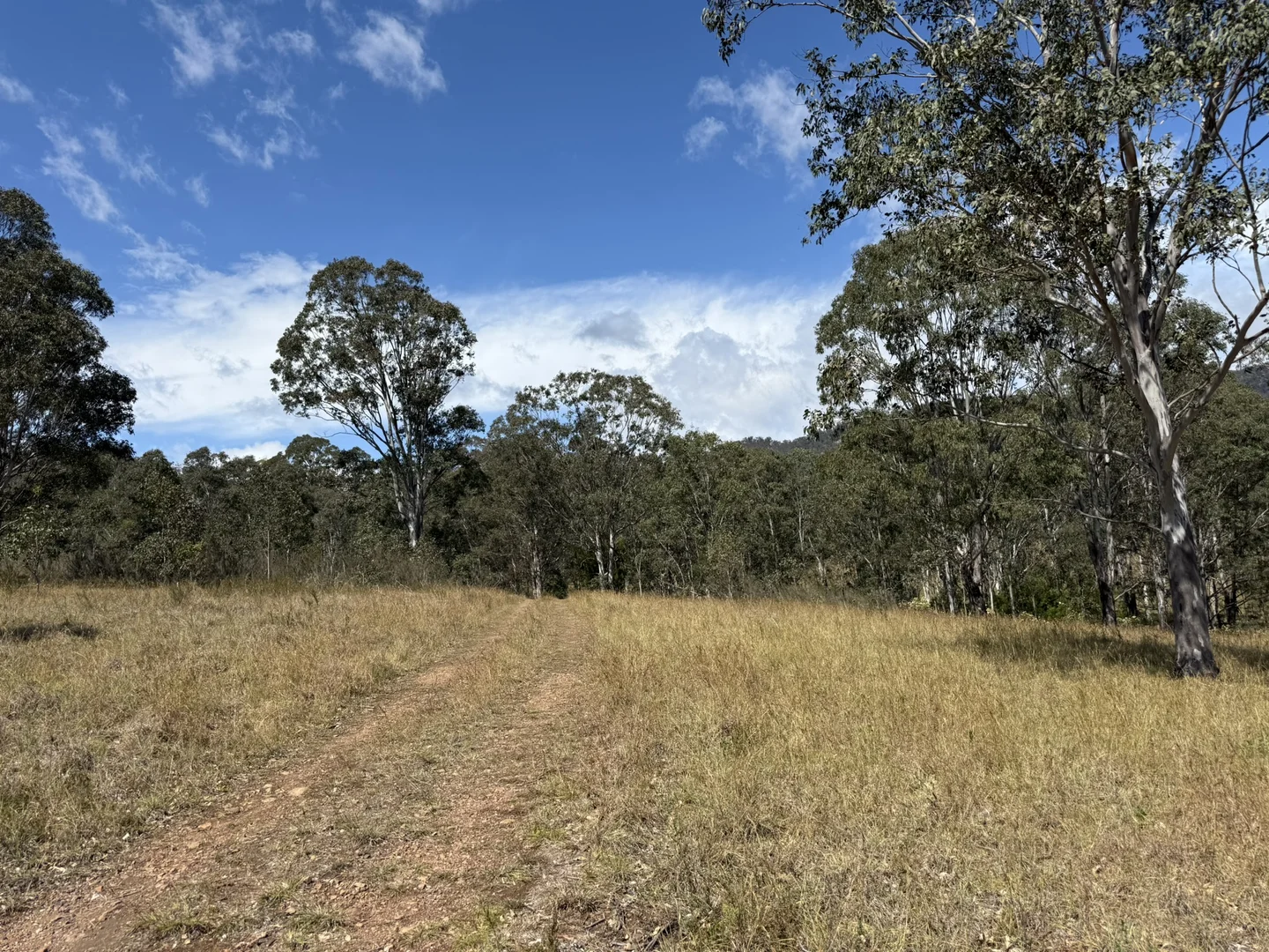 Additional image 18 of 3/1076 Neringla Road, Braidwood NSW 2622