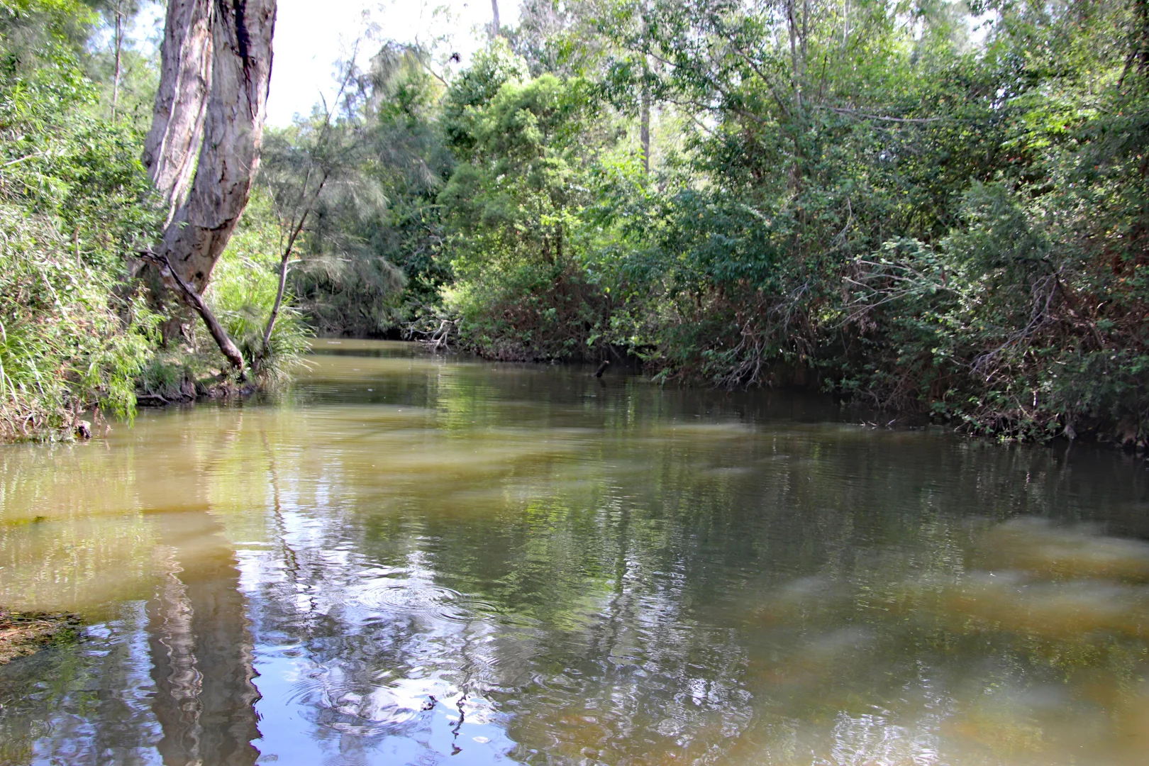 Additional image 12 of 513 Norton Road, Boynedale QLD 4680