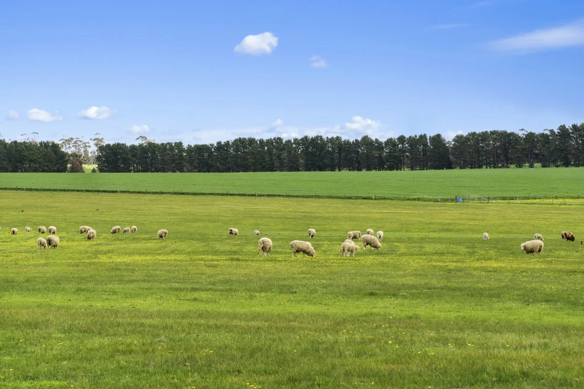 Additional image 3 of 3077 Geelong Road, Cross Roads VIC 3373