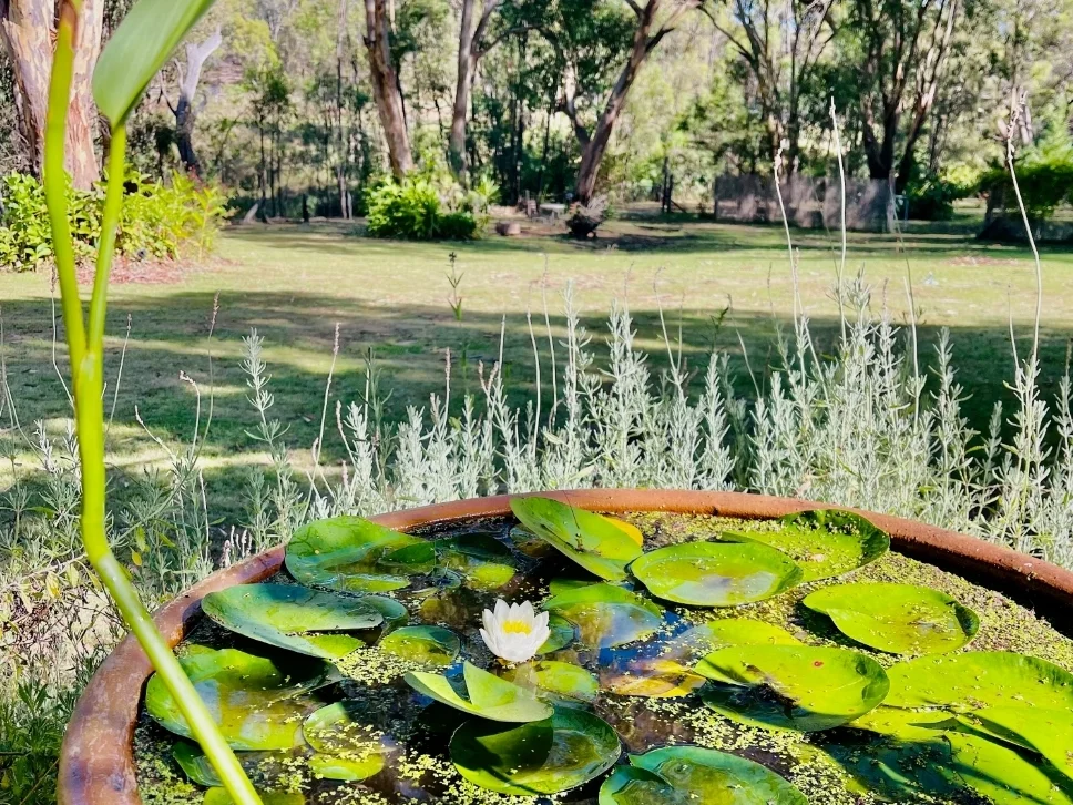 Additional image 14 of 40 Koala Crescent, Coonabarabran NSW 2357