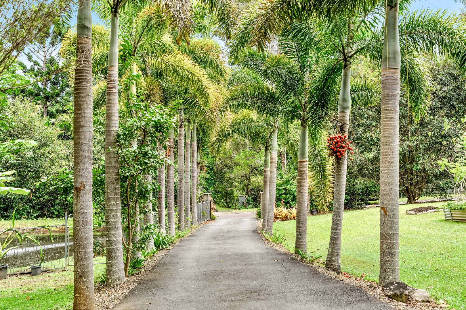 Additional image 20 of 15 Dierdre Drive, Eumundi QLD 4562