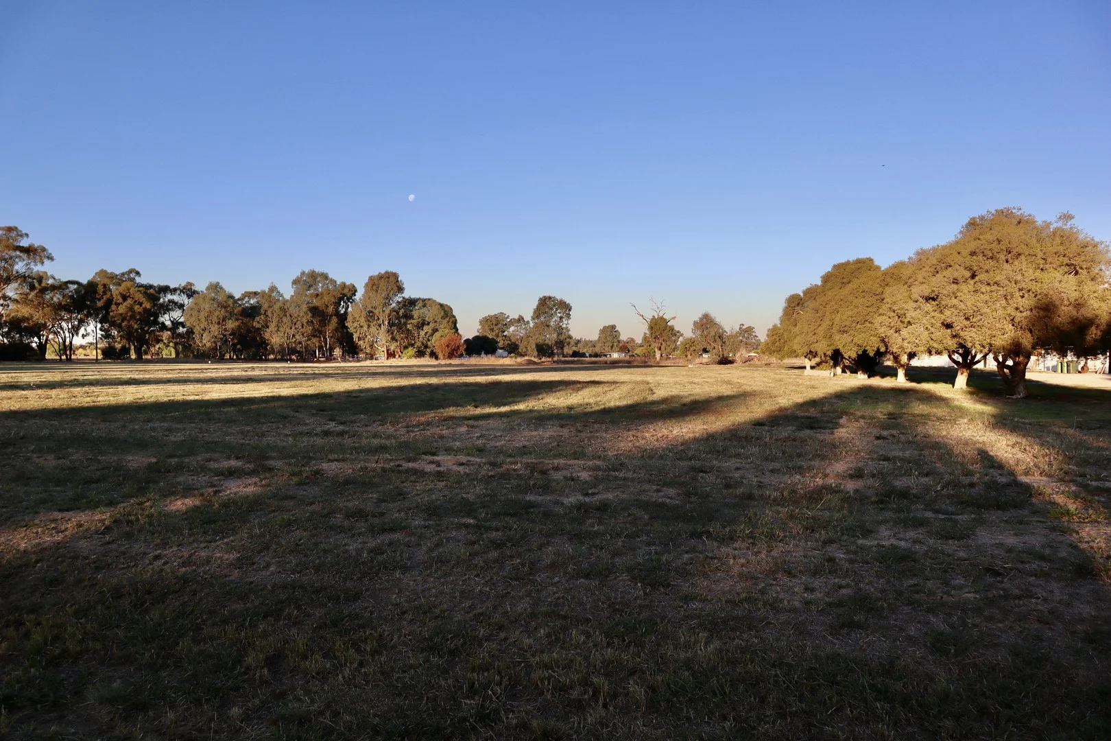 Additional image 3 of Lot 2,/210-230 Orford St, Corowa NSW 2646