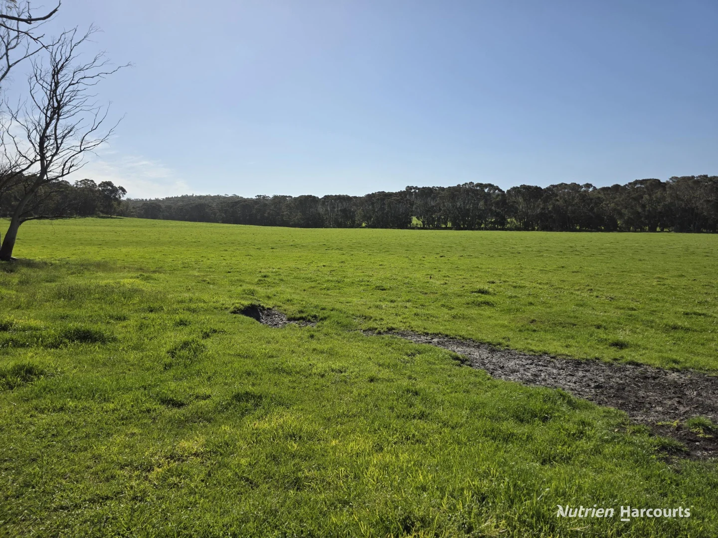 Additional image 26 of 60 Skippings Road, Kordabup WA 6333