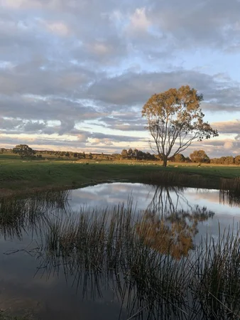 Additional image 6 of 44 Thompson Road, Gherang VIC 3240