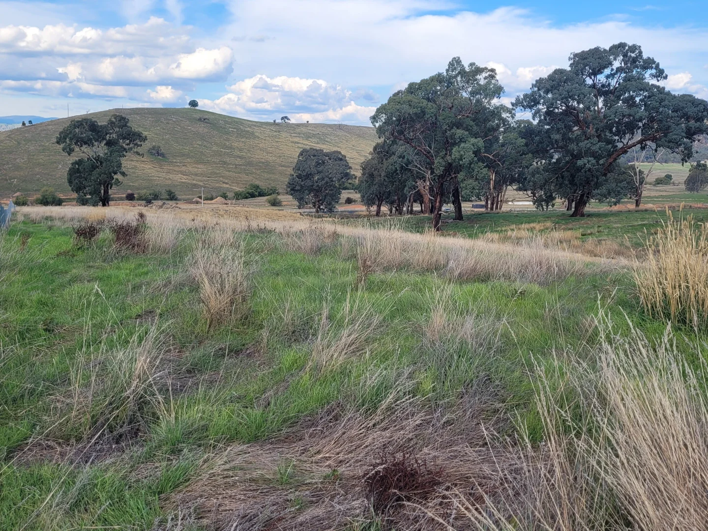 Additional image 3 of 84 Owens Creek Drive, Mansfield VIC 3722