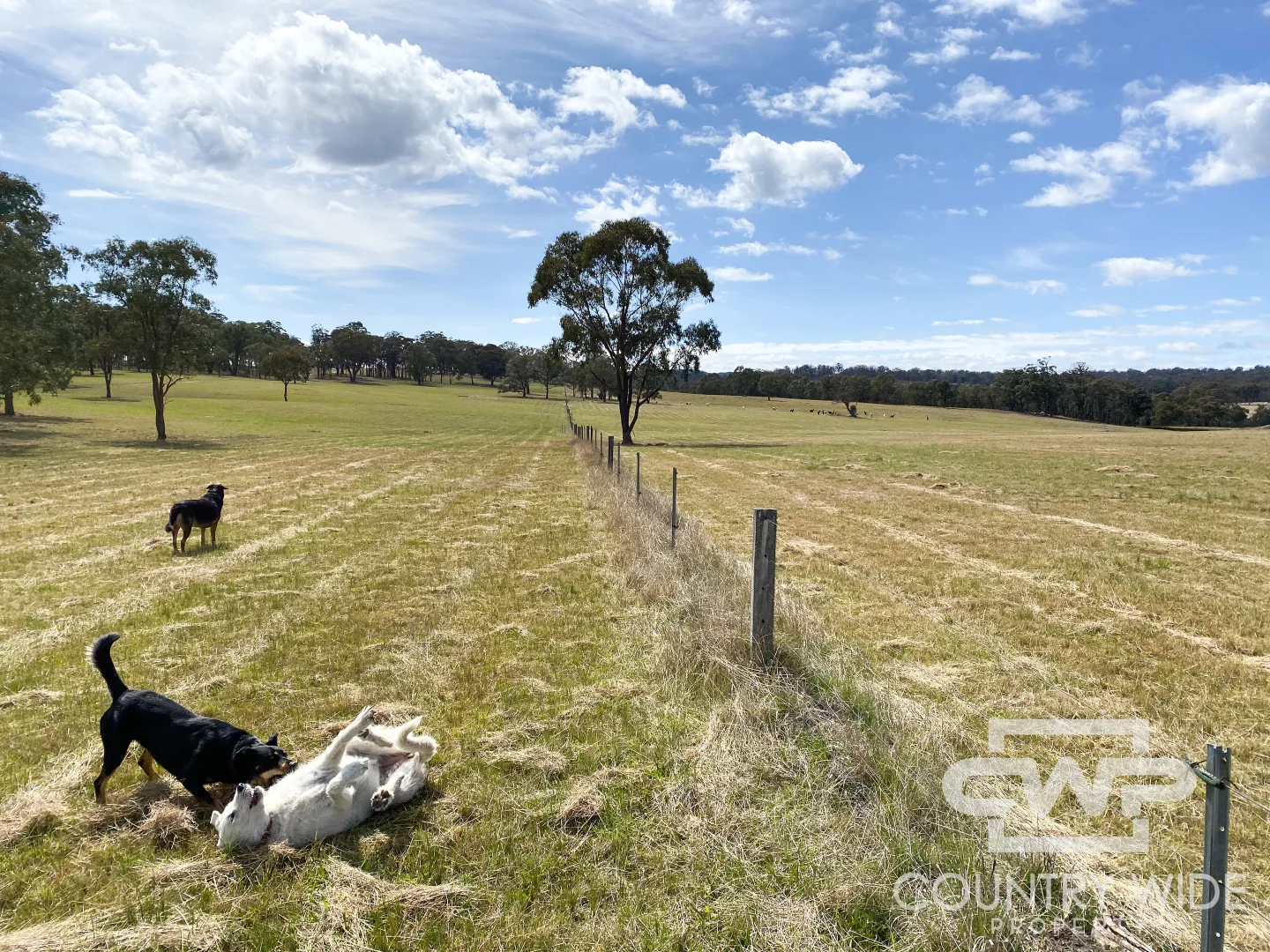 Additional image 26 of 954 Bullock Mountain Road, Glen Innes NSW 2370