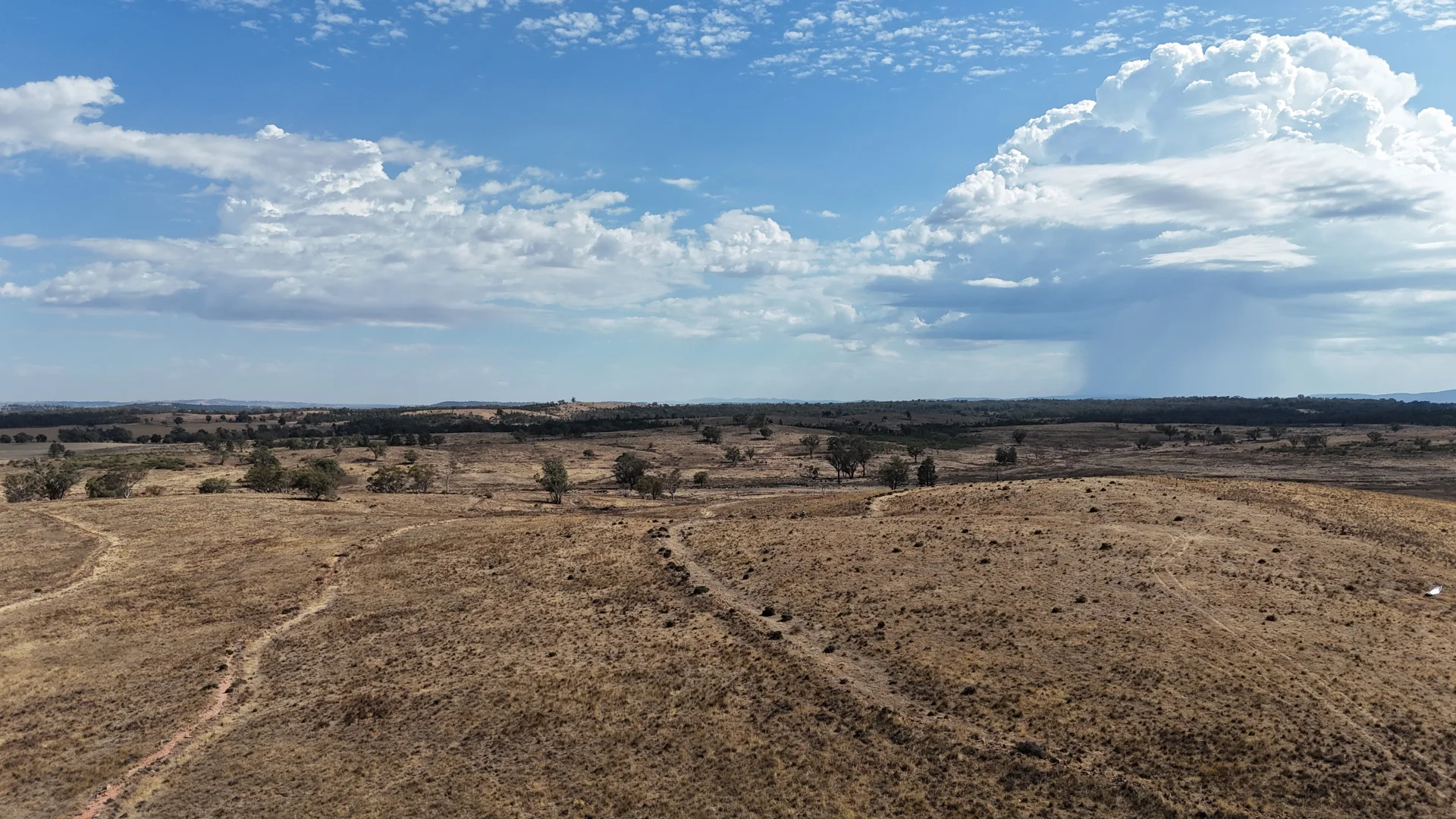 Additional image 13 of 117 Hillside Lane, Parkes NSW 2870